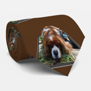 Corbata Cavalier Spaniel Popout Art, Neck Tie
