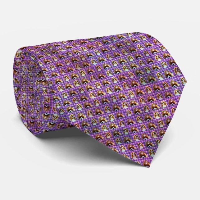 Corbata Cavalier Spaniels Sobre Tartán Púrpura, (Enrollado)