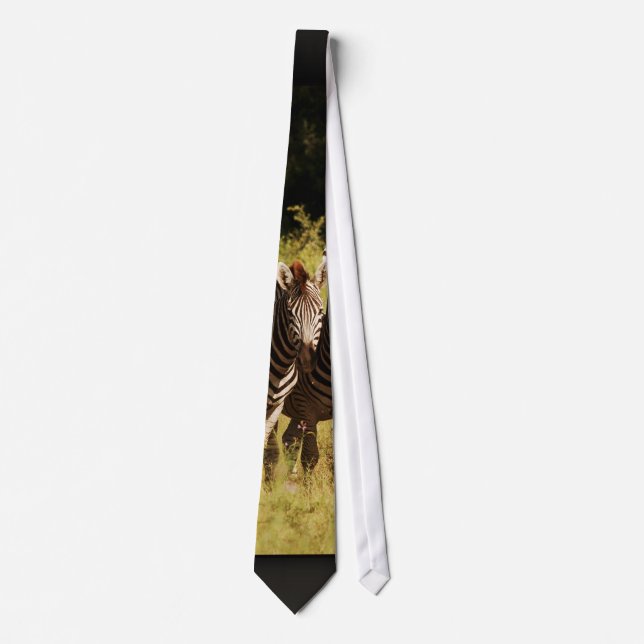 Corbata Cebra - gama única del diseñador del safari (Anverso)