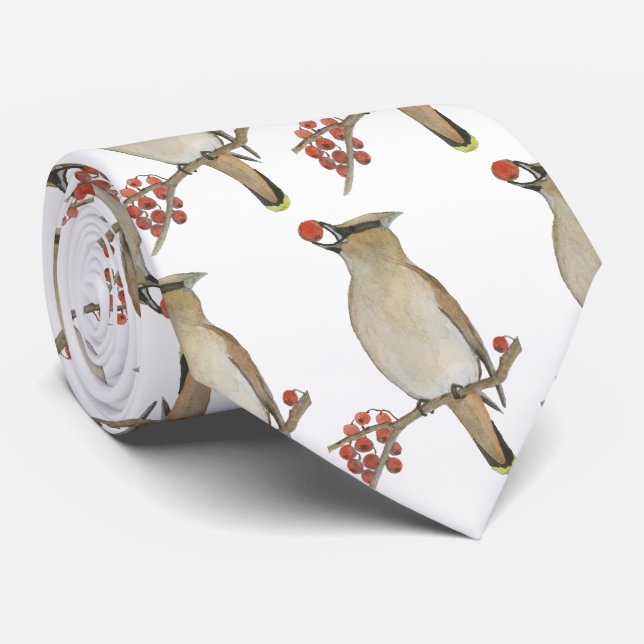Corbata Cedar Waxwing (Enrollado)