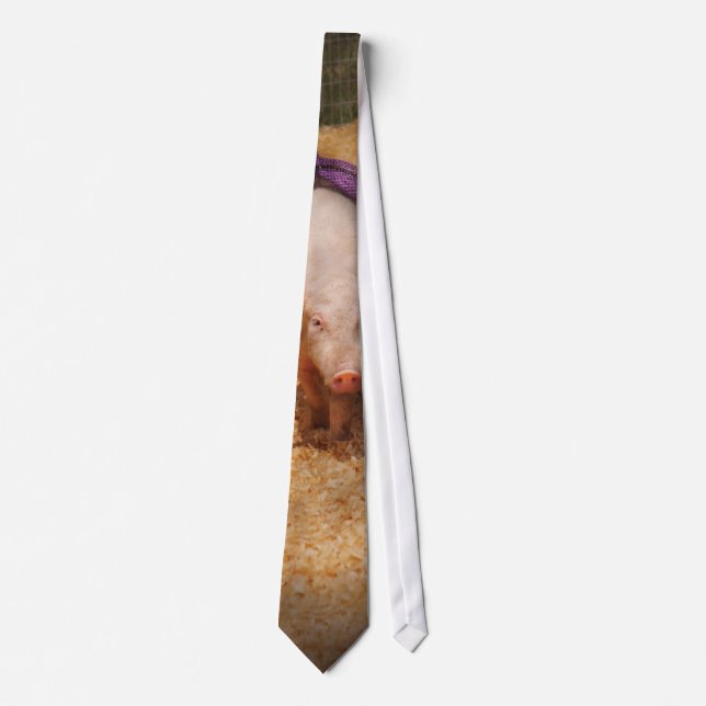 Corbata Cerdo - conseguir últimos obstáculos (Anverso)