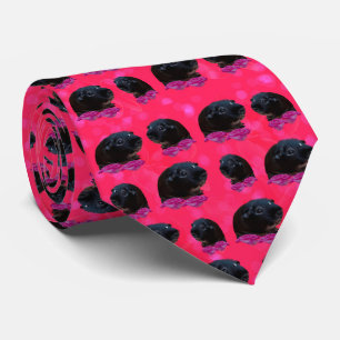 Corbata Cerdos De Guinea Negra Sobre Rosas Rosa De Bonito