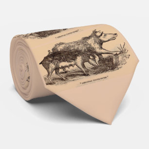 Corbata cerdos de impresión animal de granja del siglo XIX