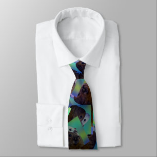 Corbata Cerdos Marrones Y Blancos De Guinea Dispersados Ar