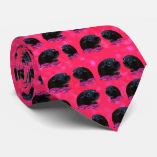 Corbata Cerdos Y Rosas guineanos