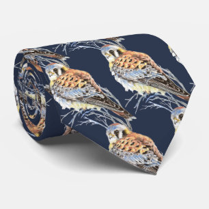 Corbata Cernícalo acuático americano, halcón de aves