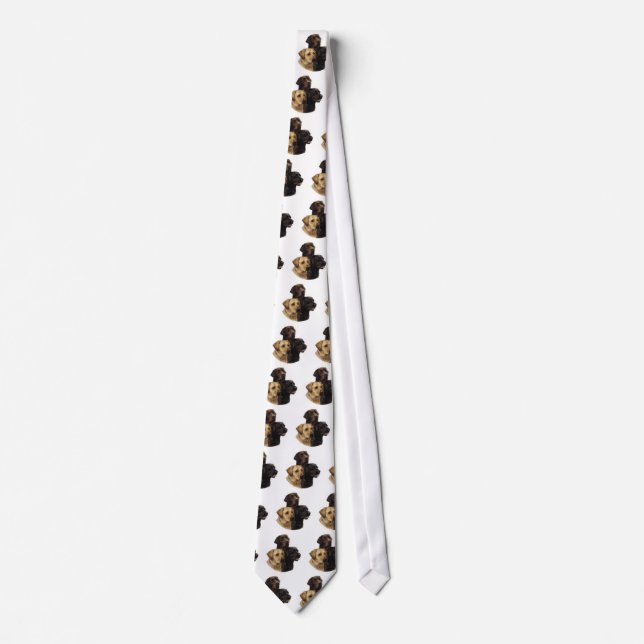 Corbata CharmingLabs (Anverso)