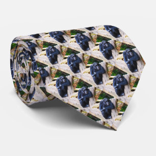 Corbata Chimpancés en reposo