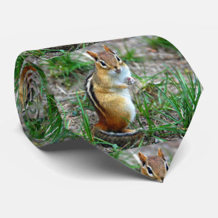 Corbata Chipmunk