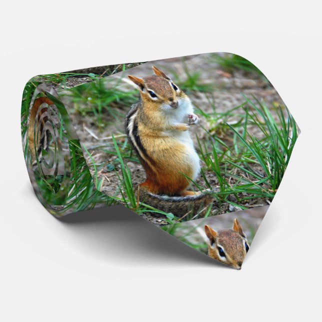 Corbata Chipmunk (Enrollado)