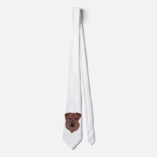 Corbata Cholcolate Brown Labrador Retriever