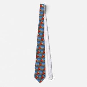 Corbata Chozas de la playa