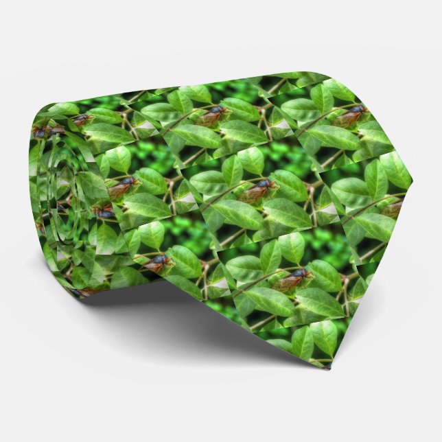 Corbata Cicata de ojos rojos (Enrollado)