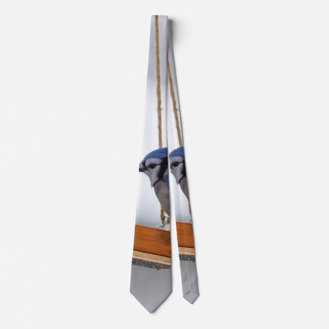 Corbata Cinturón de cuello del Jay azul (Anverso)