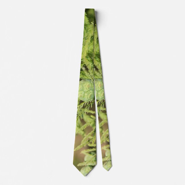 Corbata Ciprés calvo Semilla Cone Necesario (Anverso)