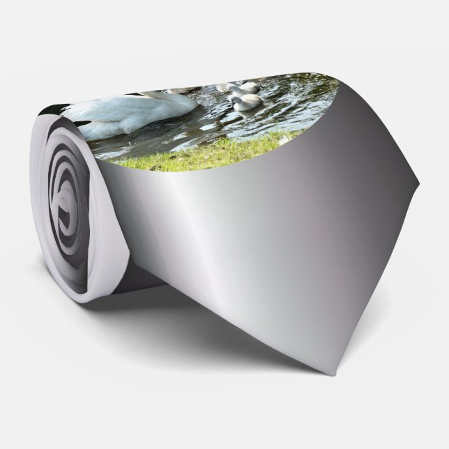 Corbata Cisne blanco con garrapatas (Enrollado)