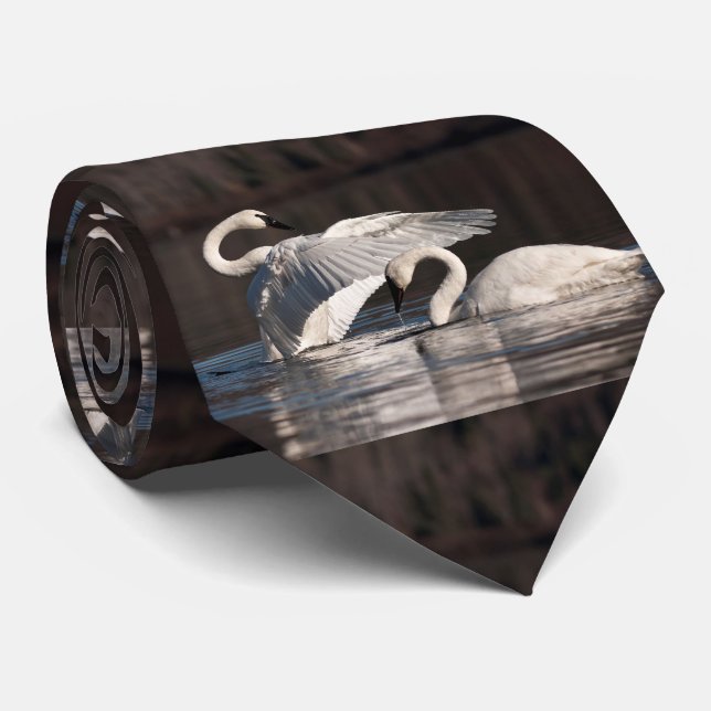 Corbata Cisnes amorosos (Enrollado)