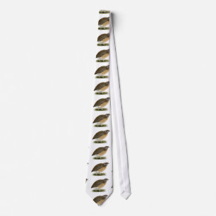 Corbata Codornices del Pharaoh del Coturnix