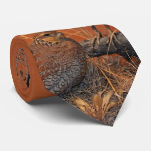 Corbata Codorniz Bobwhite (Georgia, Misuri y Tennessee)