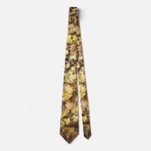 Colección de hojas amarillas de otoño