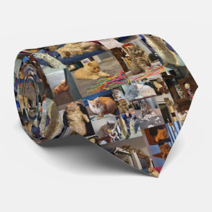 Corbata Collage de fotos Fluffy Kittens juguetón,
