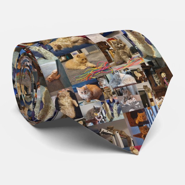 Corbata Collage de fotos Fluffy Kittens juguetón, (Enrollado)