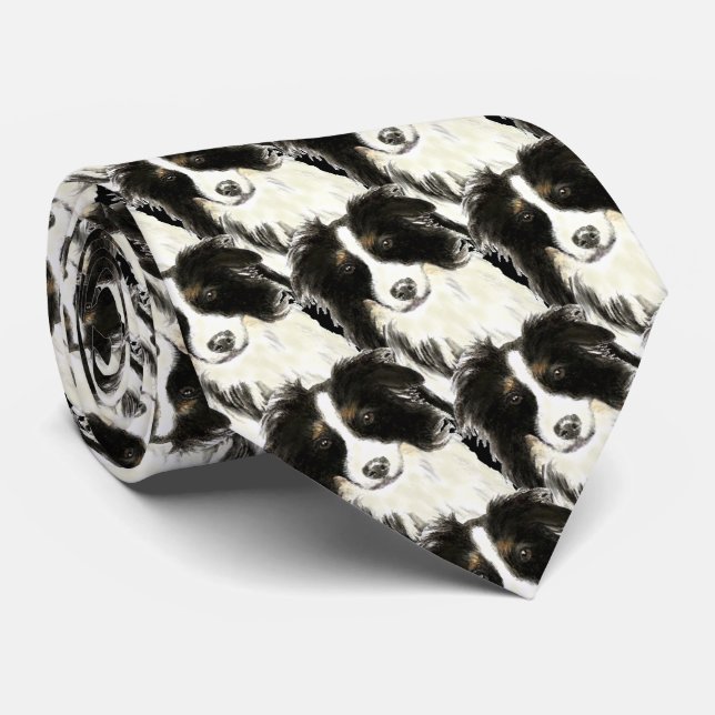 Corbata Collie de borde acuático, perro, Mascota, animal (Enrollado)