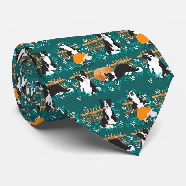 Corbata Collie fronterizo jugando con ovejas (Enrollado)