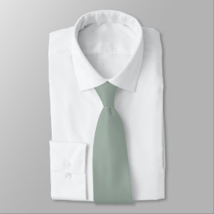 Corbata Color sólido de las iniciales ocultas de color ver
