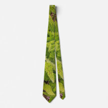 Corbata con patrón verde