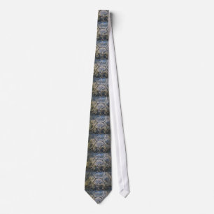 Corbata Concha del Gopher