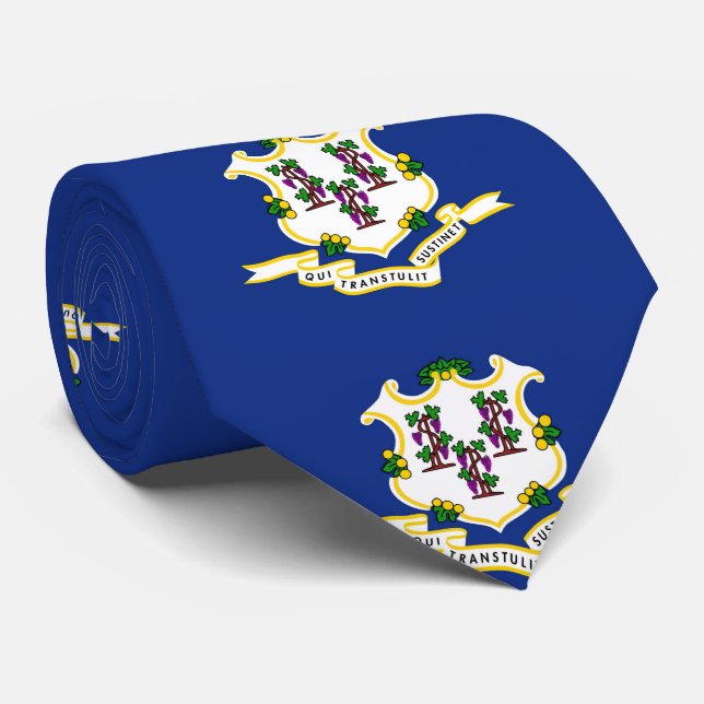 Corbata Connecticut (Enrollado)