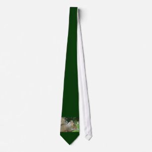 Corbata Conseguí nueces