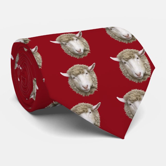 Corbata Corriedale sheep (Enrollado)