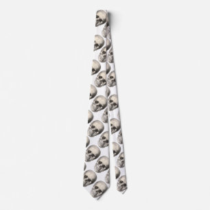 Corbata Cráneo de anatomía humana vintage, esqueleto de Ha