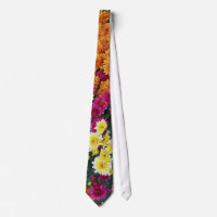 Crisantemo de colores X Flores de morifolio