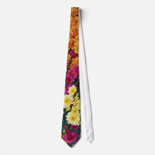 Corbata Crisantemo de colores X Flores de morifolio