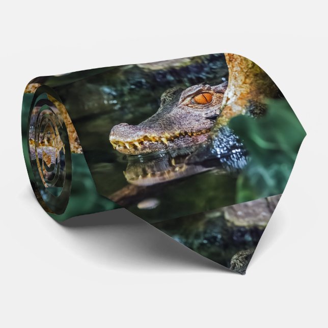 Corbata Crocodile (Enrollado)