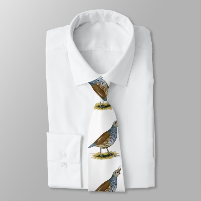 Corbata Cual escalada (Atado)
