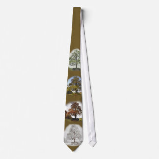 Corbata Cuatro estaciones