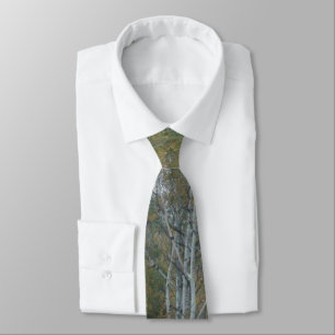 Corbata Cuello de Birch Blanco