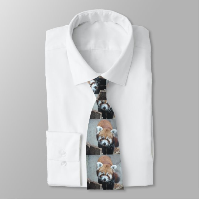 Corbata Cuto (Atado)