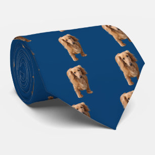 Corbata Dachshund
