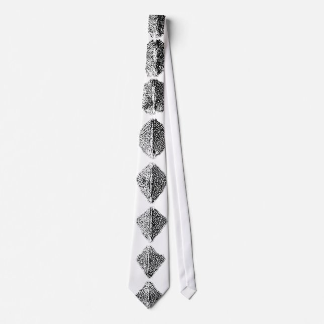 Corbata de amarre - SCUTES Enorme (Anverso)