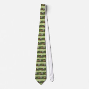 Corbata de caballo marrón castaño pastando