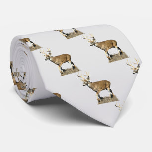 Corbata de Ciervo de Cola Blanca