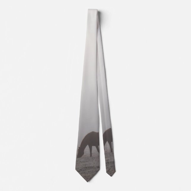 Corbata de cuello de pastoreo brumoso (Anverso)