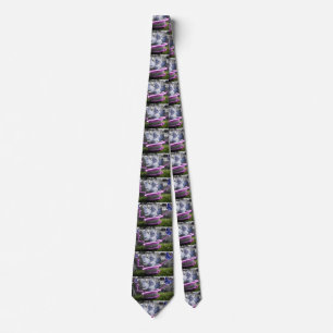 corbata de cuello del gato ángel