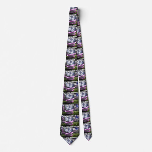 corbata de cuello del gato ángel (Anverso)