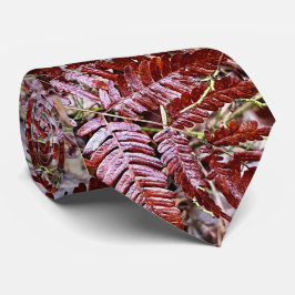 Corbata de cuello/helecho rojo